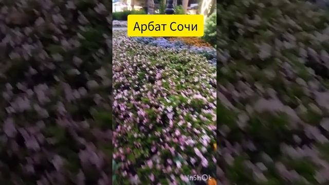 🌴 СОЧИ : пляж Цирк, Арбат и Морской вокзал 17 июля 2024 г. смотреть онлайн