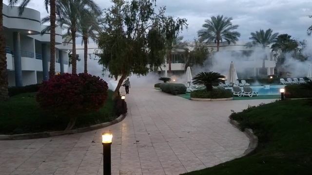 Шарм Эль Шейх Queen Sharm Resort травят комаров/Sharm El Sheikh Queen Sharm Resort Poison Mosquitoe