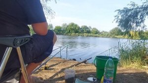Сазаны дуреют      27 июля Рыбалка Краснодарский край