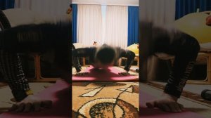 100 отжиманий