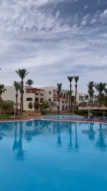 Egypt 2022. Hotel Albatros Royal Grand. Sharm el Sheikh. Red Sea. Египет. Шарм эль Шейх смотреть онлайн