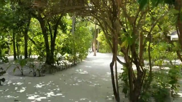 Мальдивы остров Cocoon смотреть онлайн