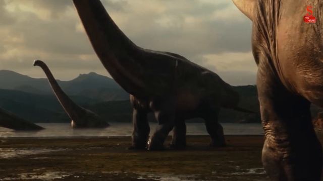 ডাইনোসর থেকে পাখি: অজানা তথ্য | Dinosaurs to Birds: Mysteries Revealed [Eng. Sub] смотреть онлайн