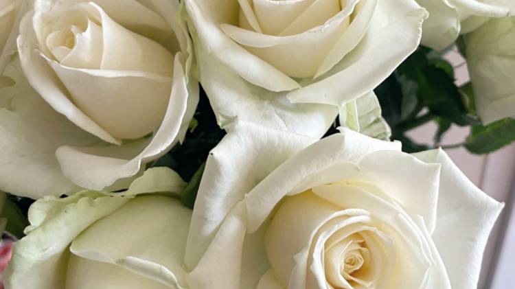 Kamik - Белые Розы...автор ролика Светлый.. смотреть онлайн