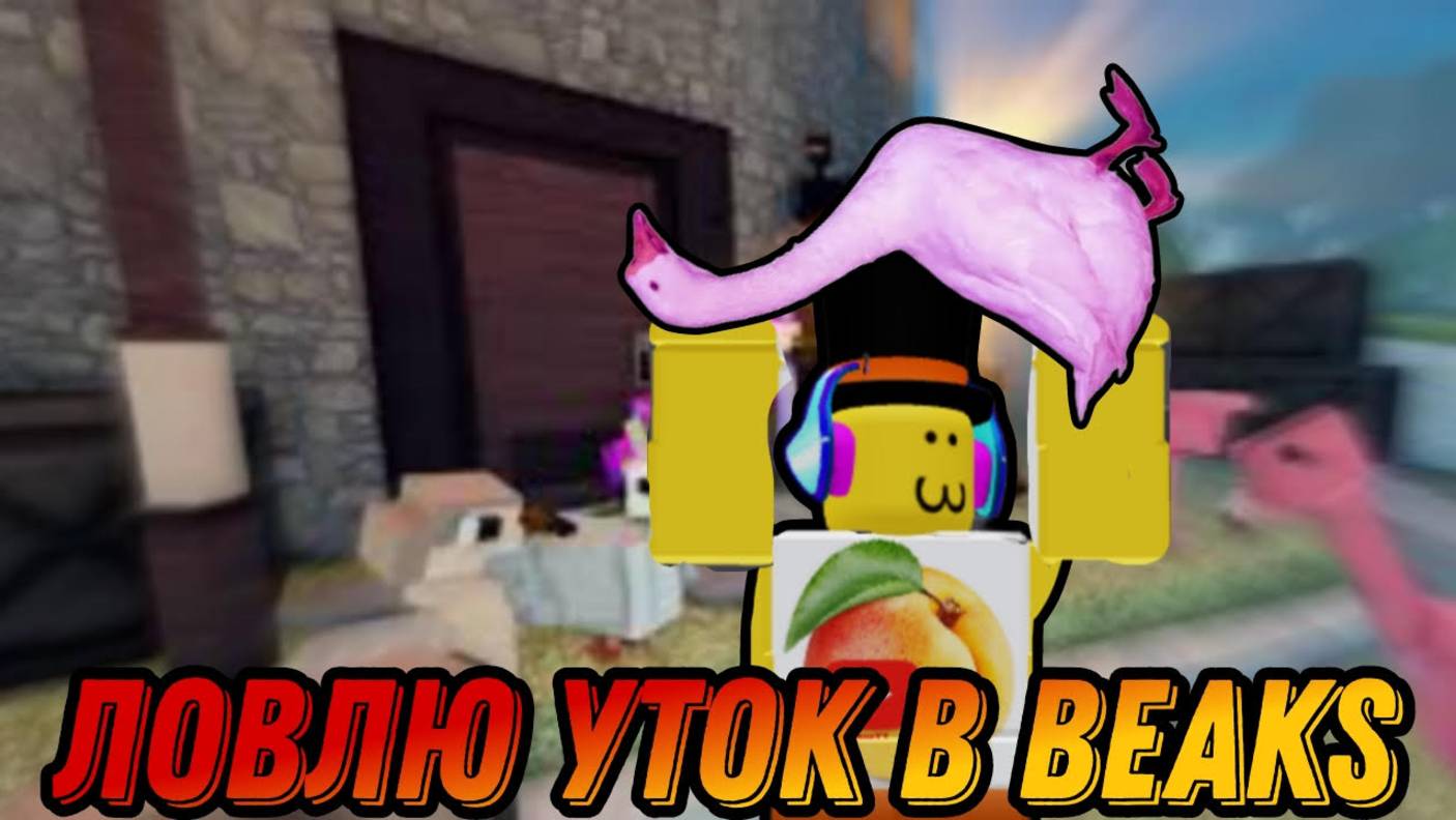 FISCH НО ЭТО НЕ FISCH А ЛОВЛЯ ПТИЦ