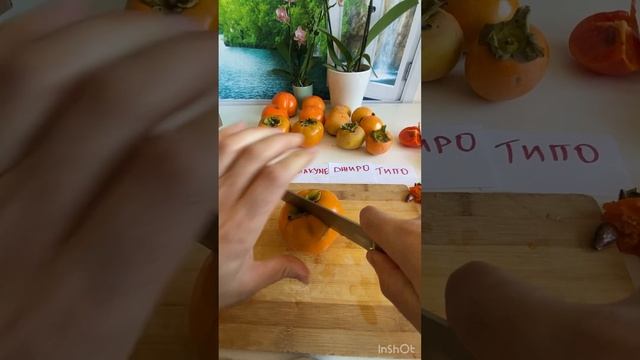 Ревю Дегустация на Райски Ябълки Фейхоа Ананасова Гуава Трилистен Портокал смотреть онлайн