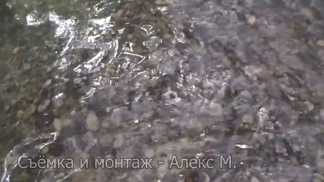 Еду в Набрань в лес смотреть онлайн