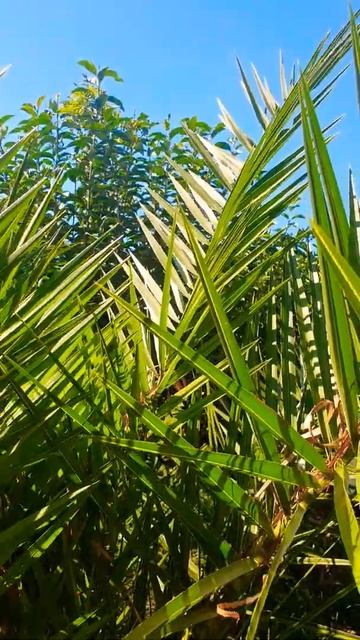 Сочи Адлер сегодня -24 сентября 2021 какая погода сегодня светит солнце 🌞 +18 вечером +13🌂 смотреть онлайн