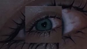 песня если честно я хотел подарить тебе всю свою любовь