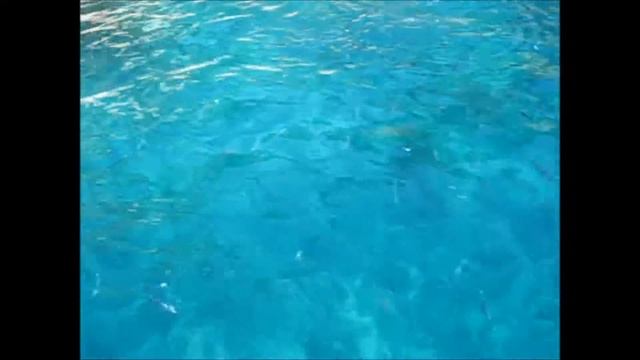 Spanje смотреть онлайн