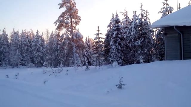 Ruka 2015 Коттедж