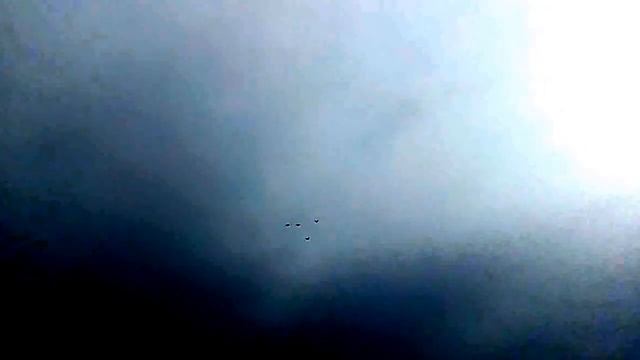 часть вторая николаевские голуби рп Первомайский Тамбовской обл 02 04 2017 года т 8 909 231 89 81 смотреть онлайн