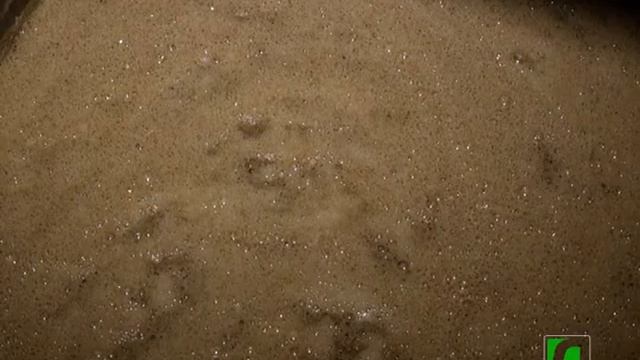 2019 10 16 День хлеба смотреть онлайн