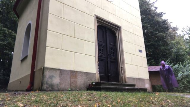 REGENPAAR-PURPLE CAPE