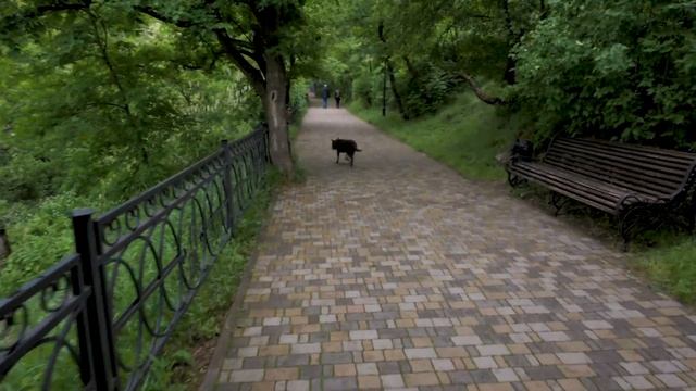 Минводы и Пятигорск, 9-10 мая 2024. Гуляем в цветнике смотреть онлайн