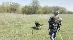 Сбежала группа осужденных за тяжкие преступления. Учения в Кинельском районе