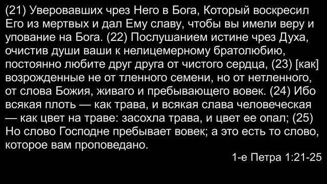 Воскресное вечернее богослужение (разбор Слова) | 11 августа 2024 г. | Симферополь смотреть онлайн