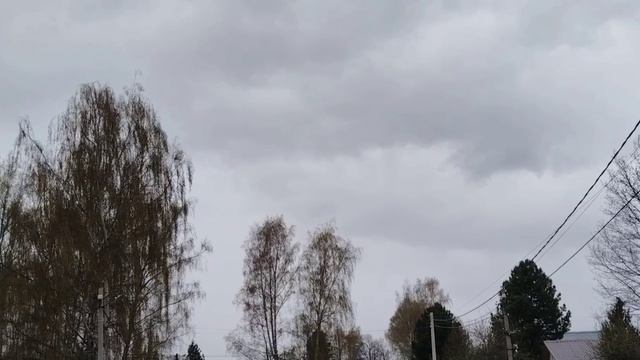 ФИНАЛ НЕДЕЛИ ЦВЕТЕНИЯ И ЗЕЛЕНИ смотреть онлайн