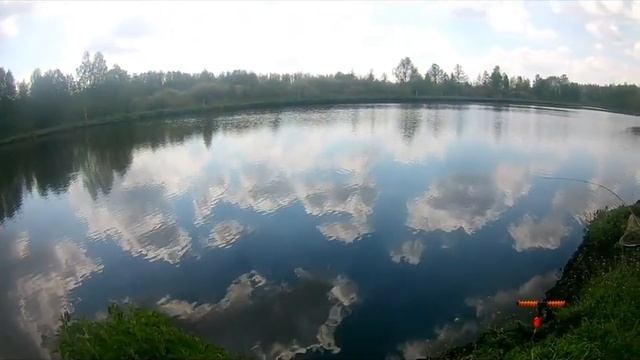 Hol Karpia Na Feedera