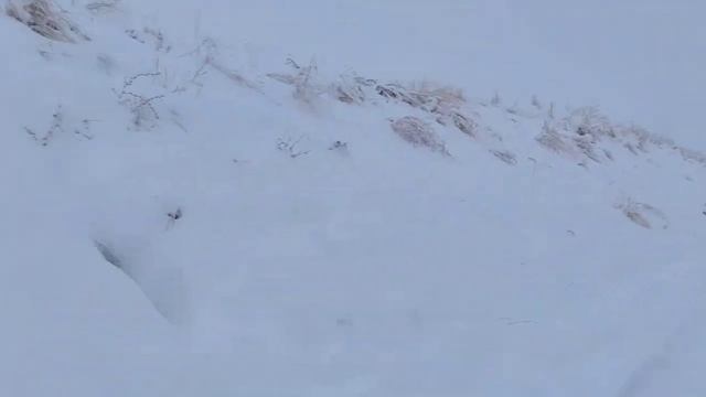 Новогоднее путешествие в Узбекистан! Часть 2. Прекрасные времена в Амирсое! смотреть онлайн