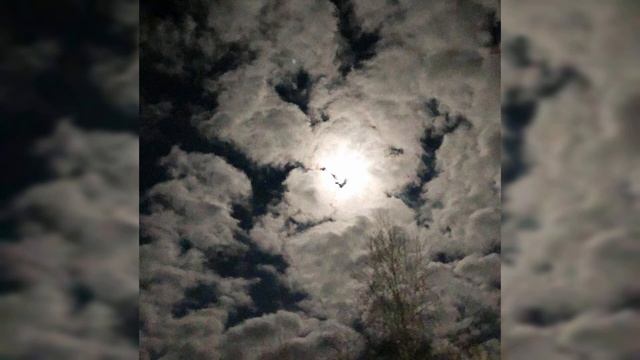 если придется (prod. pinomin) смотреть онлайн