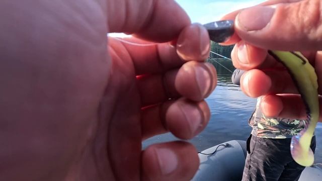 Щука Судак Окунь на Тейл-спиннеры. Раздача окуня. Иваньковское и Пестовское вдхр. Lowrance HDS Live смотреть онлайн