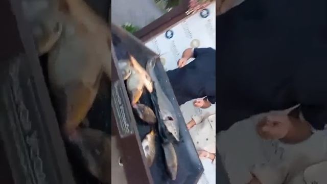 видная усадьба смотреть онлайн