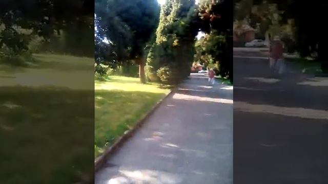 Южное взморье (территория) смотреть онлайн