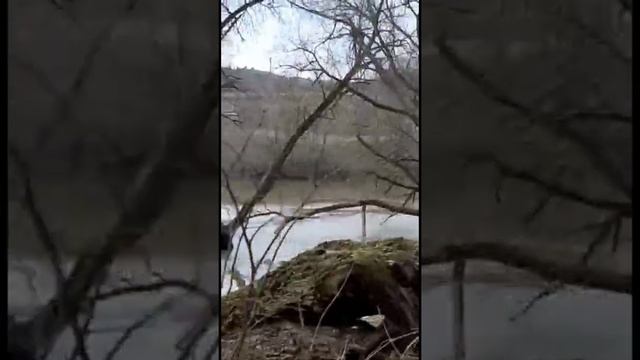 Весенние прогулки у р Таруска. г Таруса. 19.04.22 смотреть онлайн