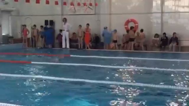 Соревнование кроль смотреть онлайн