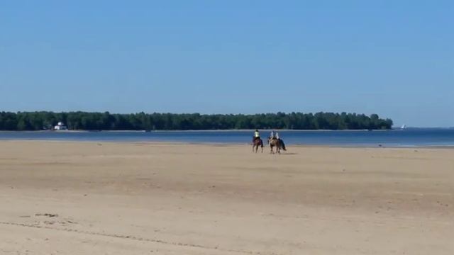 Сестрорецкий курорт смотреть онлайн