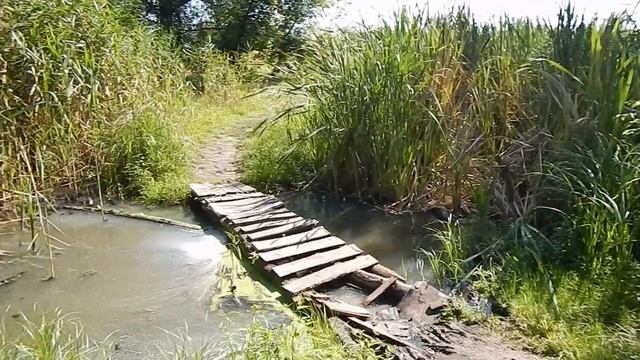 Cykling Харківщиною: прохід через болота від пляжу Зміїва до лук на березі Дінця біля Задонецького. смотреть онлайн