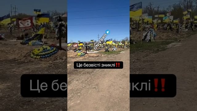 Грядки безымянных тарасиков смотреть онлайн