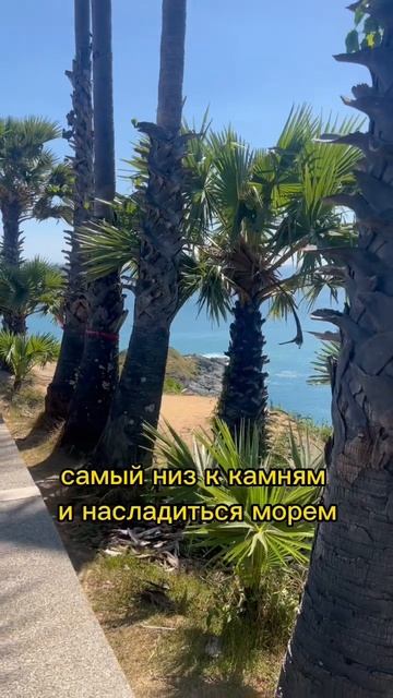 Смотровая на Пхукете. #shorts #отдыхвтайланде #пхукет #патонг #пляж #тайландпхукет #красота смотреть онлайн