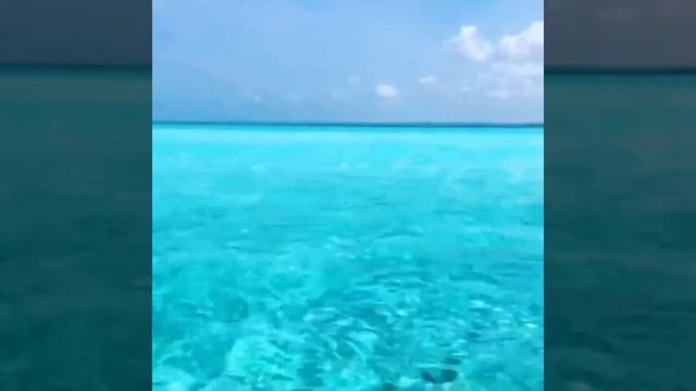 Филиппины незабываемые воспоминания. Philippines unforgettable memories.#shorts смотреть онлайн