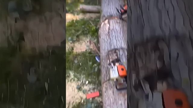 Engineer vip 144 #adamrose #construction #engineering #workers смотреть онлайн