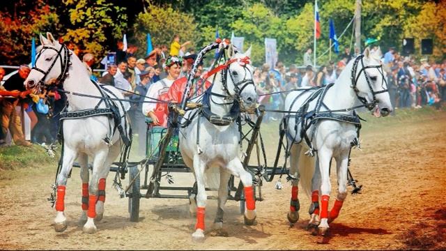Свадьба - песня 2020 смотреть онлайн