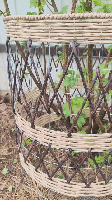 Кустодержатель для смородины смотреть онлайн