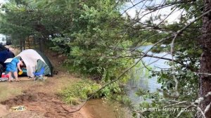 Фестиваль автодомов Hello Camper. Vanlife с котом или отдых на природе с палатками в Ленобласти