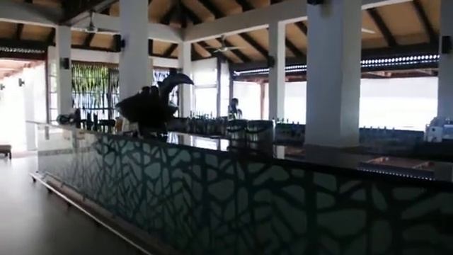 Tanjung Sanctuary Langkawi Resort, Ресторан, бассейн