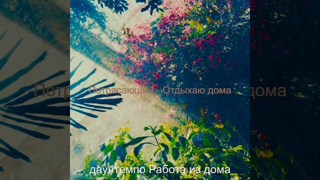 Ресторан - Чувство смотреть онлайн