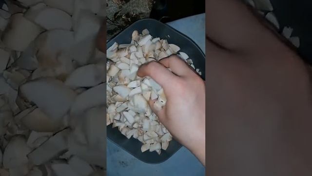 грибы тушёные в сметане. ваш повар комнатный 🥰 обнял приподнял на место поставил 😍