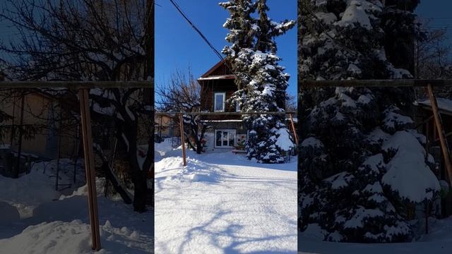 Зимний сад в Хвалынске смотреть онлайн