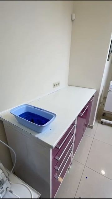 Цветовой визуализатор OMG смотреть онлайн