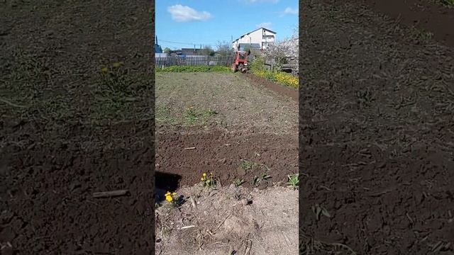 пашем смотреть онлайн
