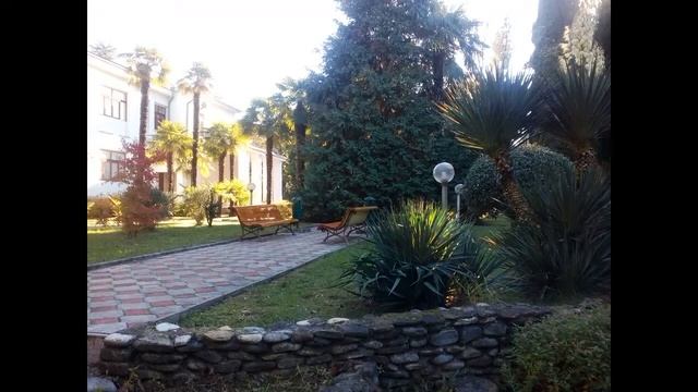 Прогулка по Дендропарку смотреть онлайн