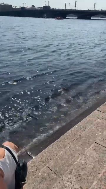 3 августа 2022 г. смотреть онлайн