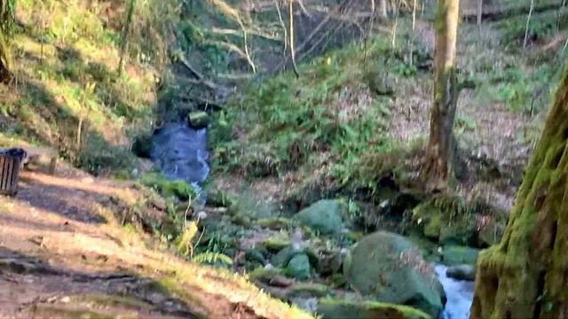 Сочи.Поход на Волоконский дольмен. Горы «Два брата» и речка Годлик!❤️🔥👍 смотреть онлайн