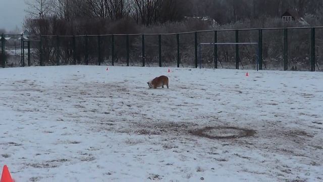Балыкова Елена и Чиф пинч в красном селе 23.11.14 смотреть онлайн