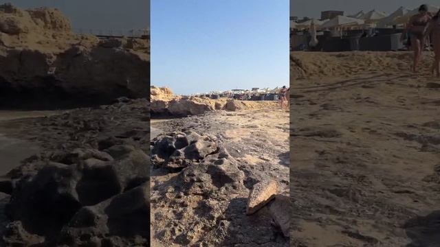 пляж Египет 5 июня 2024 г. Отель Rixos Radamis Tirana ю, Шарм Эль Шейх, Rixos Radamis Blue Planet